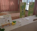 ゆっくり40分♪遠隔で直傳靈氣の施術をいたします *横になったままでも、お眠りになっても大丈夫です♪ イメージ6