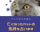 ペットロス・亡くなったペットのメッセージ占います ペットの種類は問いません。亡くなったペットからのメッセージ イメージ2