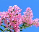 女性の気持ち、男性の気持ちを紐解き、整理します 元中学校教師が恋愛心理分析！あなたが幸せになるアシストします イメージ9