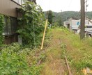 学生の日常、旅行の風景を販売します 自然の写真などお求めの方におすすめです イメージ6