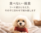 犬の飼育の悩みを 分からない所から一緒に整理します 初めての飼育で不安がある方へ 何から始めるか一緒に考えます イメージ3