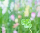 お仕事をはじめとする日々のお悩み伺います ホッとする居場所になりたい(*^^*) イメージ3