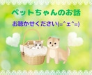 大切なペットちゃんの自慢話などお聴き致します ご看病中の方ペットロスの方も優しく寄り添いお話お聴き致します イメージ1