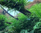 元精神科看護師が恋愛、心の悩み聞かせていただきます 心の悩み、恋のお悩み、愚痴なんでも聞きますよ☺️ イメージ1