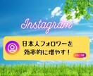 インスタフォロアー増やします 日本人アクティブフォロワーを最短２～３日で１００人増やします イメージ1