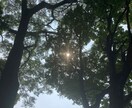アゲ鑑定無し！あなたの知りたい事占います 一般的な占いとは一味違います必要な解決策を伝える占いです イメージ2
