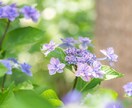恋愛を通じて本当の自分を知りたい方へ霊視します 恋愛占い❀オーラとチャクラが導く魂の愛へ幸せへ導く霊感霊視 イメージ5