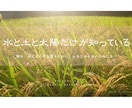 LINE公式アカウントの構築代行します 初心者さん歓迎|LINE公式の開設〜リッチメニューまで丸投げ イメージ5