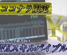 FXの基礎から応用・ノウハウまで学べます ★FX初心者〜中級者の成功バイブル★ イメージ1