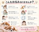 犬を飼って疲れてしまったあなたのお話を聴きます 愛犬が可愛くないと感じる飼い主さんの居場所 イメージ2
