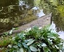 私は言霊カウンセラー17分間あなたの思いを出します どれだけの力が貴方にも在るのか。魔法をかけるのは貴方です イメージ4
