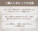 どのような関係性も◎お相手のお気持ちを鑑定致します AIを使わず丁寧に鑑定1000字以上私の言葉でお伝えします。 イメージ6