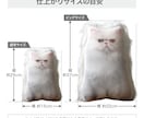 ペットロス　うちの子（犬　猫）のぬいぐるみ作ります 裏面のファーが、虹の橋を渡ったウチの子を撫でている様な感覚に イメージ5