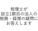 税理士が１期目法人の税務・経理の疑問にお答えします はじめての法人経理・税務も安心！税理士が丁寧にサポート イメージ1