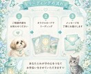 アニマルオラクルでわが子の気持ちを読み解きます カードを使って愛するわが子からのメッセージをお伝えします イメージ5