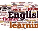 完全オンライン英語レッスンを提供します ビデオチャットを使った英語レッスンには少し抵抗のあるあなたへ イメージ1