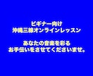 ビギナー向け沖縄三線レッスンをお届けします 約5年間、のべ100名ほどのレッスン実績がございます。 イメージ1