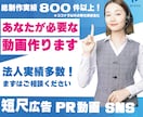 周知/売上を最大化！！SNS用広告動画を制作します 各種SNS用に、売上/周知に最大効果を発揮する動画広告！ イメージ1