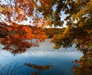 写真を補正します ワンコインで画像補正いたします！ イメージ1