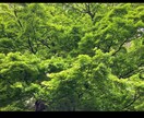 ママ友☆怖くて辛い☆ストレス発散☘️付き合います しんどい、困ったママ友♦️対策必要⭐️バッチリお助け❤️ イメージ5