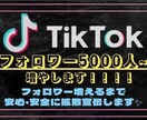 TikTokフォロワー増えるまで拡散宣伝します フォロワー5000人〜圧倒的ボリュームと圧倒的最安値！ イメージ1
