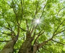 雑談、悩み相談承ります 暇な時。お悩みの時。リラックスしたい時。気軽にお話し下さい。 イメージ2
