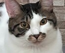 ゆるく何でも話せる相談室ですます うまく話せなくても、そのままで大丈夫 イメージ1