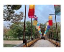 ナチュラルに!日本語⇆韓国語を翻訳いたします 様々な翻訳をお手伝いします⭐︎お気軽にお問い合わせください! イメージ2