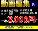 丸投げOK!高品質の動画編集代行します 〜YouTube shorts・TikTok・リール対応〜 イメージ1