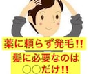 薬に頼らず抜け毛、薄毛を克服した発毛方法教えます ・発毛に必要なのは○○と○○！薄毛の対処は1日も早めが鍵！ イメージ1