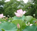 占い・悩み相談・愚痴聞きなんでも聞きます どんな話でもオッケーです！人に言えない話も否定せず聞きます！ イメージ1