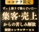 集客・売上UPのご相談に乗ります 【年間300件の実績】圧倒的な個別コンサルの経験値で支援 イメージ1