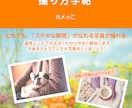 ココナラ最低価格でも最高の電子書籍デザインします プロが監修！クオリティは重視、お値段は低価格にてご提供します イメージ2