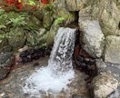 八百万の神！カードからメッセージ届けます 本気で願いを叶えたい！ゆっくり深く読み解いてほしい方へ イメージ3