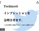 フォロワー11万人！！！ツイート拡散します 3万インプ保証！最大48万以上拡散されます！ イメージ1