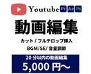 YouTube用フルテロップ動画５千円で編集します ビジネス動画・エンタメ動画・切り抜き動画 ご相談ください！ イメージ1