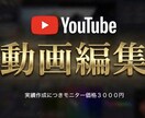 高品質動画編集承ります 実績を積み上げたいため最低価格で10分以内の動画を編集します イメージ1