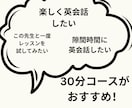 貴方の英会話レッスンをオーダーメイドで提供します 英語ネイティブの教師があなたの為だけの英会話を指導 イメージ3