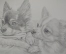 ペットの似顔絵を鉛筆で描きます 大好きなペットとの思い出を鉛筆画にしてみませんか？ イメージ4