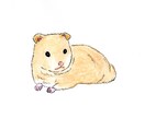 ペットの絵を描きます わんちゃんねこちゃんなどご家族の一員を可愛い絵にします イメージ10