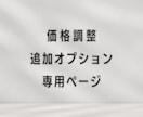 価格調整・追加オプション購入できます 既存サービスをご購入いただいたお客様向けの価格調整ページです イメージ1
