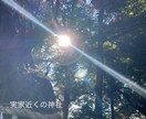 お悩み相談⭐︎ 慈愛波動ヒーリング付きます ⭐︎根に触れて、自然な選択へ⭐︎ イメージ7