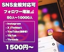 主要SNS全般のフォロワー(登録者)増加させます 高品質ユーザーを最短即日で増加いたします イメージ1