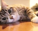 誰にも相談できないLGBTの悩みごとお聴きします 同性愛の辛いことや苦しいこと…遠慮なく全部はき出してください イメージ2