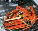 フレンチシェフが料理のお悩みにお答えしますます 作り方、ワンポイントのコツ、相性の良い食材など教えます！ イメージ9