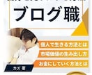 プロブロガーが既存ブログの収益化プラン考えます 収益化に必要な方向性、広告選び、執筆など総合的に提案書作成 イメージ9
