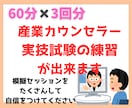 3回分　産業カウンセラー実技試験の練習ができます 私が60分間クライエント役、振返りもさせて頂きます。 イメージ1