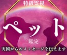 ペットの気持ちを霊視 天国からの言葉をお伝えします 突然の家族とのさよならに心がつぶされそうになっていませんか イメージ1