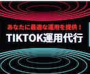 TIKTOK運用代行承ります 大手メディア塾での実績、他者実績を元に最適な運用をいたします イメージ1