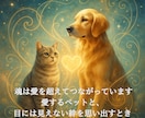 ペットロス癒しの対話セッションします 愛する存在との絆を、魂の次元でつなぎ直す時間 イメージ1